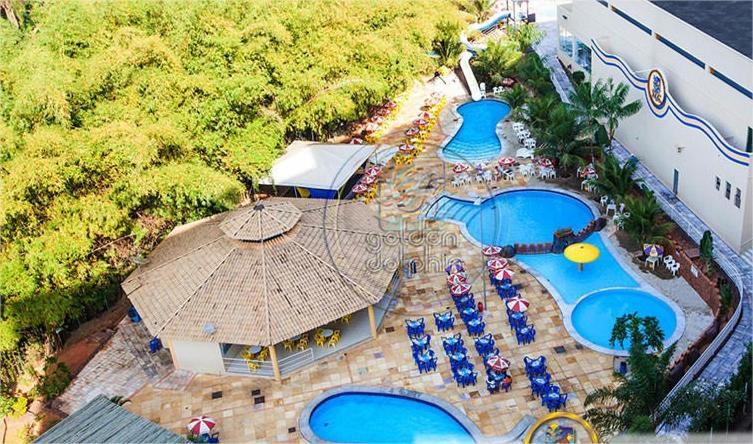 Golden Dolphin Grand - Flat